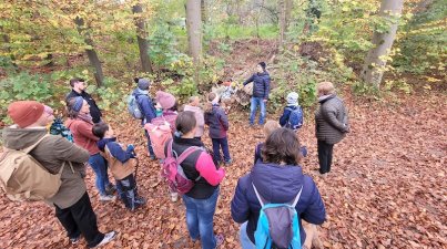 Herbstliche-Waldexpedition