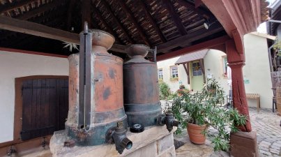 Wanderfahrt-Freinsheim