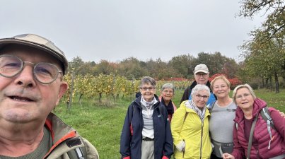 Wanderung-Groß-Umstadt