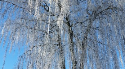 Winterwanderung