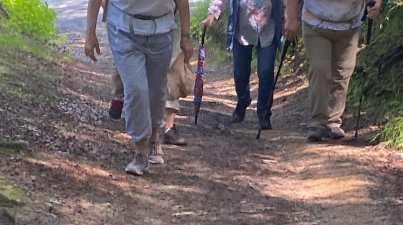 Hochstaetten Felsenmeer