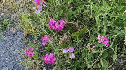 Erste Wanderung in 2021