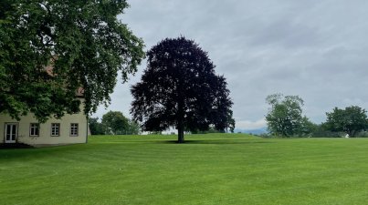 Kräutergarten in Lorsch