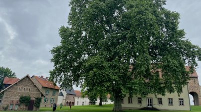 Kräutergarten in Lorsch