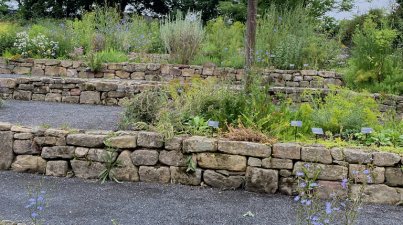 Der Kräutergarten zum Lorscher Arzneibuch liegt in etwas versteckter Lage südlich der Zehntscheune. So genießt das terrassierte Gelände intimen Schutz in einer Art Senke zwischen den wärmespeichernden, die kalten Nord- und Ostwinde abweisenden Natursteinmauern des 80 Meter langen Gebäudes und dem sich südlich der Gartenanlage  sanft erhebenden sogenannten Spittelsberg, wo sich zu Zeiten des Klosters das Krankenhaus für die Bevölkerung und die Pilger befand. 