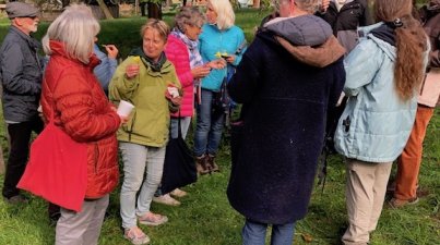 Kräuterwanderung