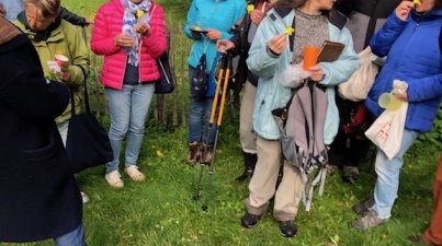 Kräuterwanderung