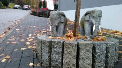Nebelwanderung_Lindenfels