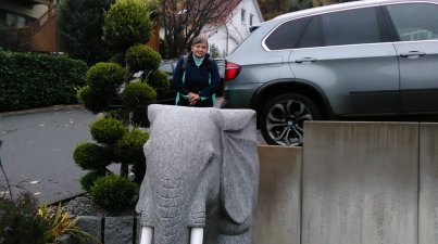 Nebelwanderung_Lindenfels